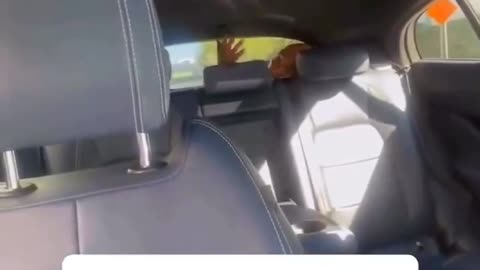 Mom catches man hiding in the back of a Waymo taxi she ordered for her daughter to be picked up