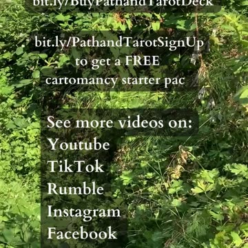 Take Control Of Your Relationships | Path and Tarot Reading