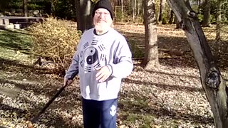Shillelagh exercise: Wand of the Fay #martialarts