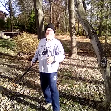 Shillelagh exercise: Wand of the Fay #martialarts