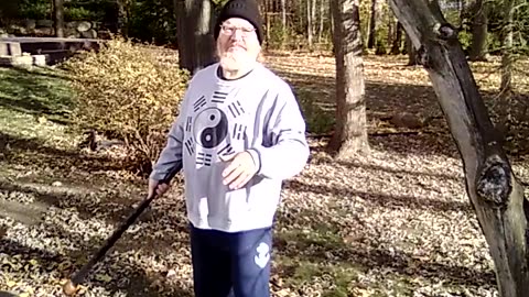 Shillelagh exercise: Wand of the Fay #martialarts