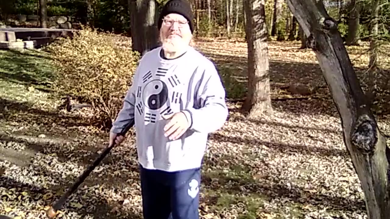Shillelagh exercise: Wand of the Fay #martialarts