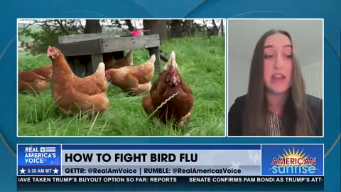 HOW TO FIGHT BIRD FLU