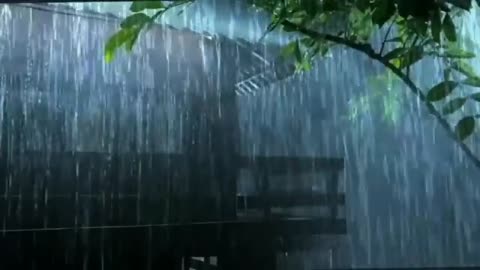 Relaxing Rain 20 Minutes | Deep Sleep & Stress Relief (No Music)