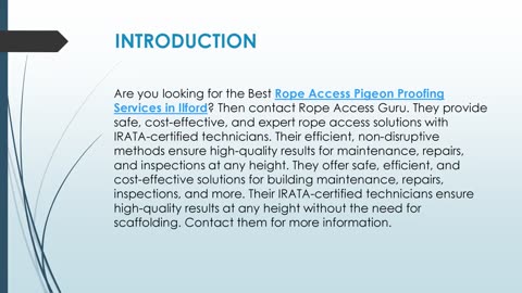 Best Rope Access Pigeon Proofing Services in Ilford