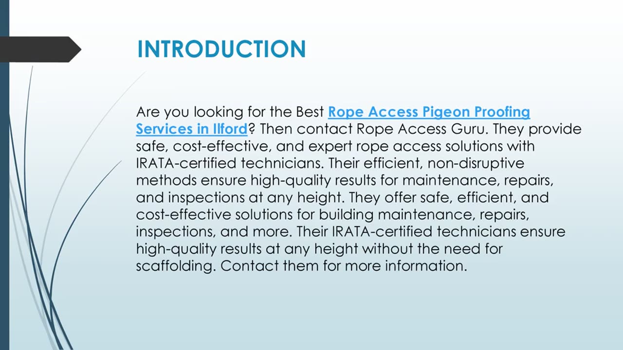 Best Rope Access Pigeon Proofing Services in Ilford