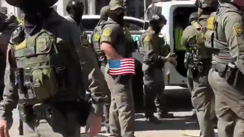 Border Patrol is now arresting ILLEGALS in Downtown Chicago, helping out ICE 