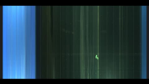 06 Dec 2025 AllSky Timelapse Rpi5 - Delta Junction, Alaska #allsky #allskycamera