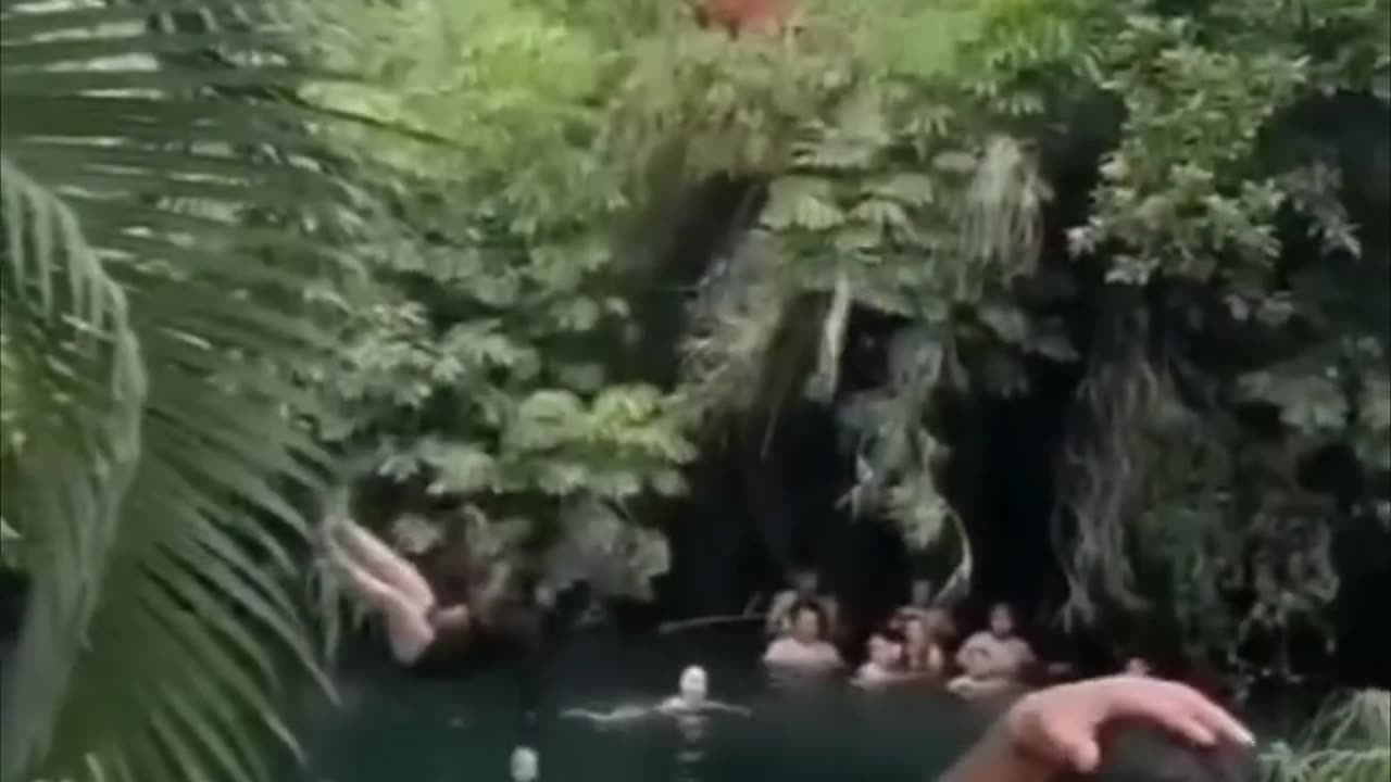 🤣🤣🤣