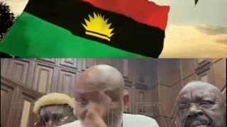 Igbo Bloggers Slam Southeast Leaders “Cowardice Exposed” in #FreeNnamdiKanuNow Social Media Storm