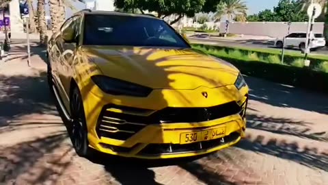 ❤✨ Like Your Favorite Luxury Car! ❤✨ | LuxurySportsCars