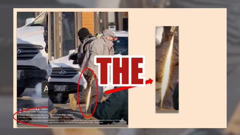 Fact Check: Video Of Alex Pretti's Gun Misfiring In ICE Agent's Hand Is 'AI-Generated'