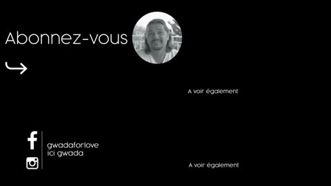 PUNCH PLANTEUR MAISON : La Recette authentique des Antilles !