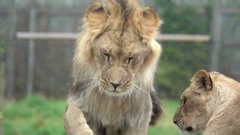 "The best is yet to come."