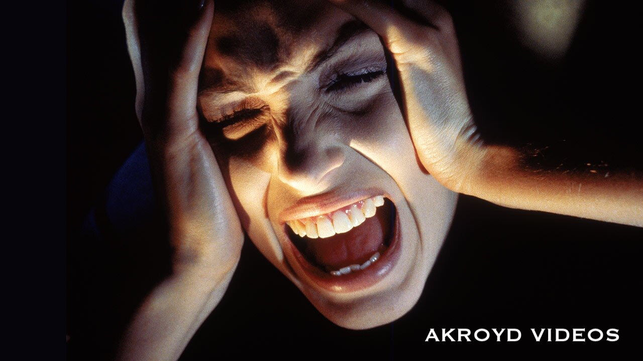 DISTURBED - THE VENGEFUL ONE