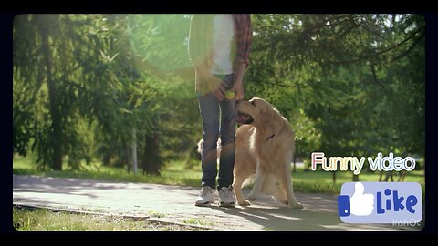 Boy Playing Fetch With His Dog — Cutest Moment Ever! 🐶