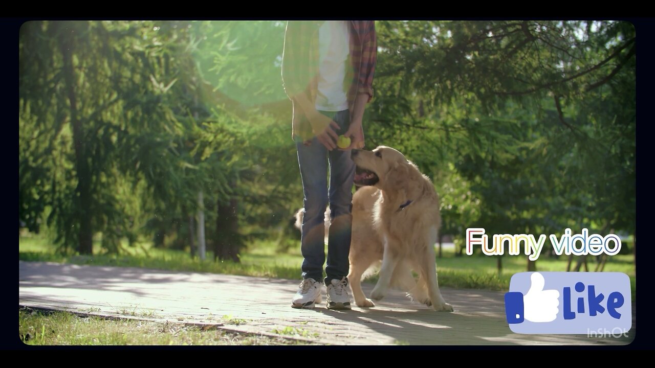 Boy Playing Fetch With His Dog — Cutest Moment Ever! 🐶