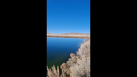 winter fly fishing