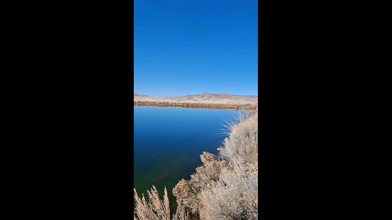 winter fly fishing