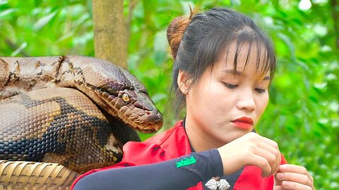 Ethnic girl catches insects in the forest to survival and attacked by a giant python