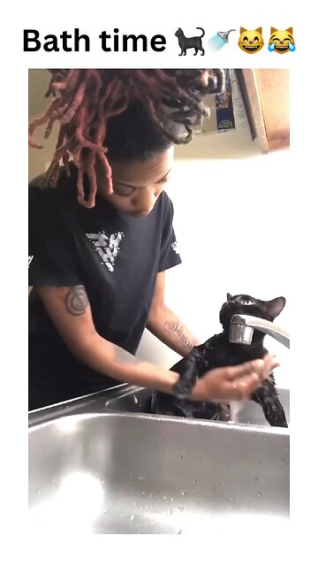 Bath time struggles 🐾🛁😾 This kitty is NOT a fan of spa day! Watch till the end for the sassiest cat