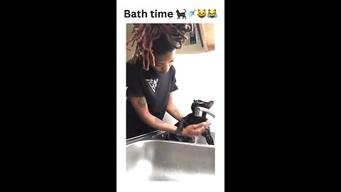 Bath time struggles 🐾🛁😾 This kitty is NOT a fan of spa day! Watch till the end for the sassiest cat