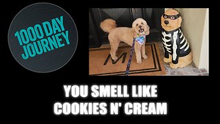 1000 Day Journey 0805 You Smell Like Cookies N' Cream