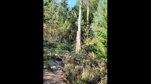 Edenic Hypothesis (Garden of Eden Location)