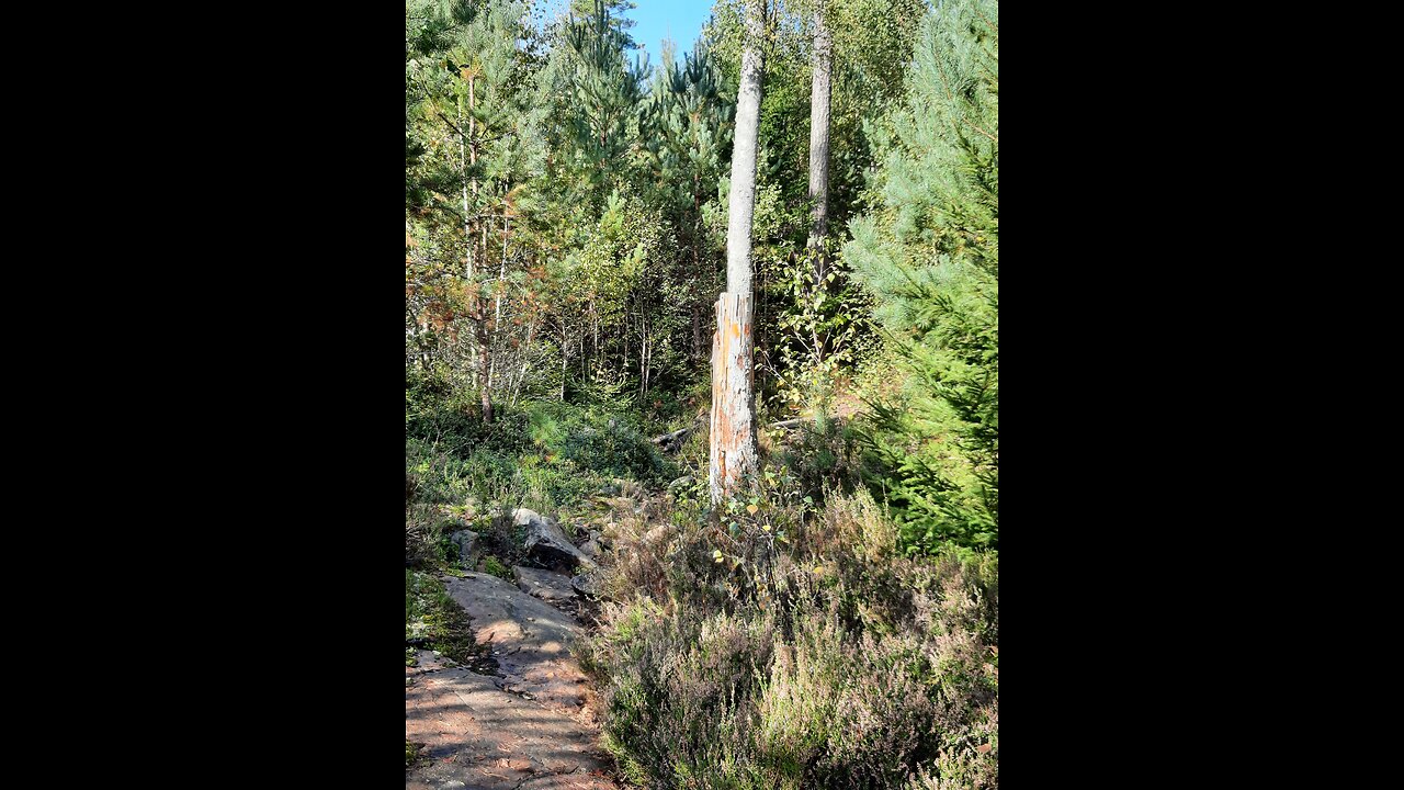 Edenic Hypothesis (Garden of Eden Location)