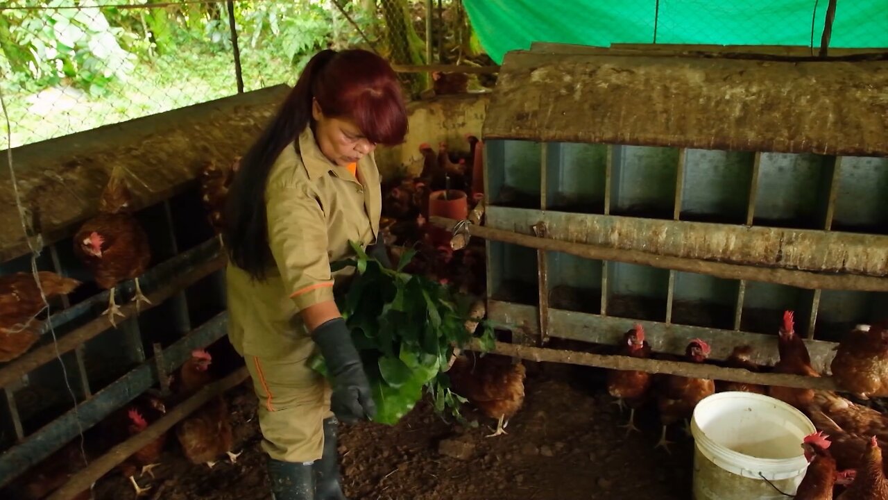 De la cárcel al cambio: segundas oportunidades en Colombia