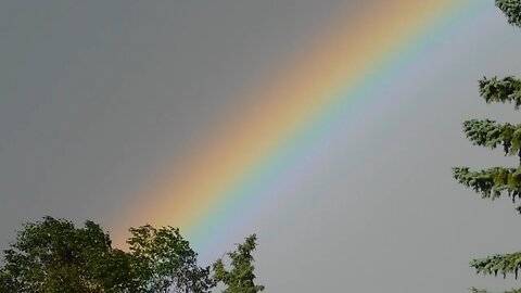 enjoy rainbow 🌈🌈