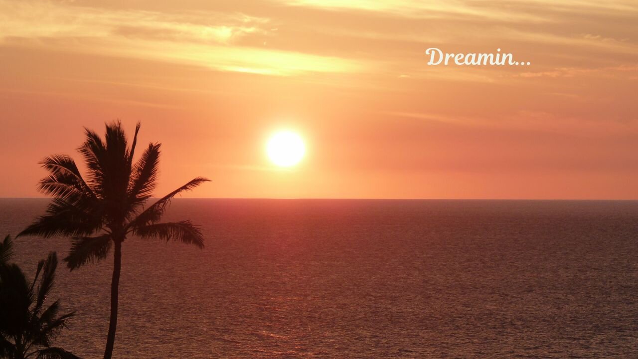 Dreamin