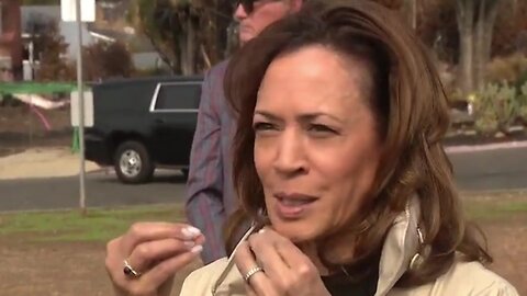 Kamala Harris on the Palisades fire - "you can smell it" (LA Word Salad)