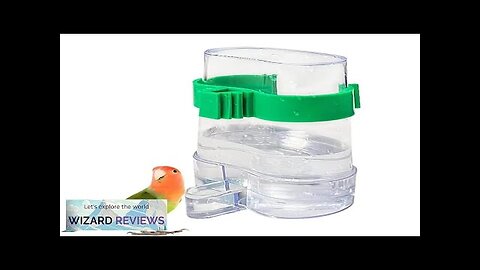 Birds Feeding Watering Bird High-quality Plastic Feeder Food Water Feeding Automatic Drinker Review