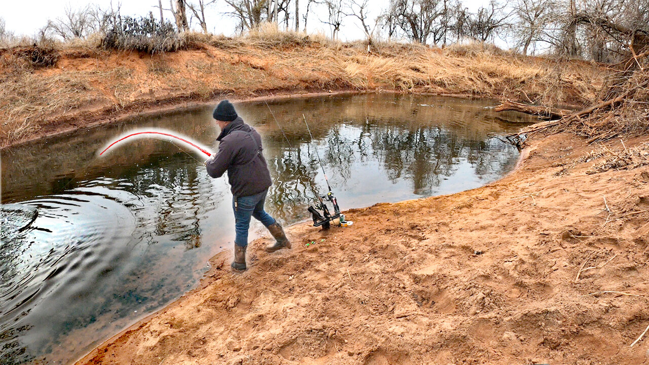 You Never Know WHAT You’ll Catch in a TINY CREEK! (PB!)