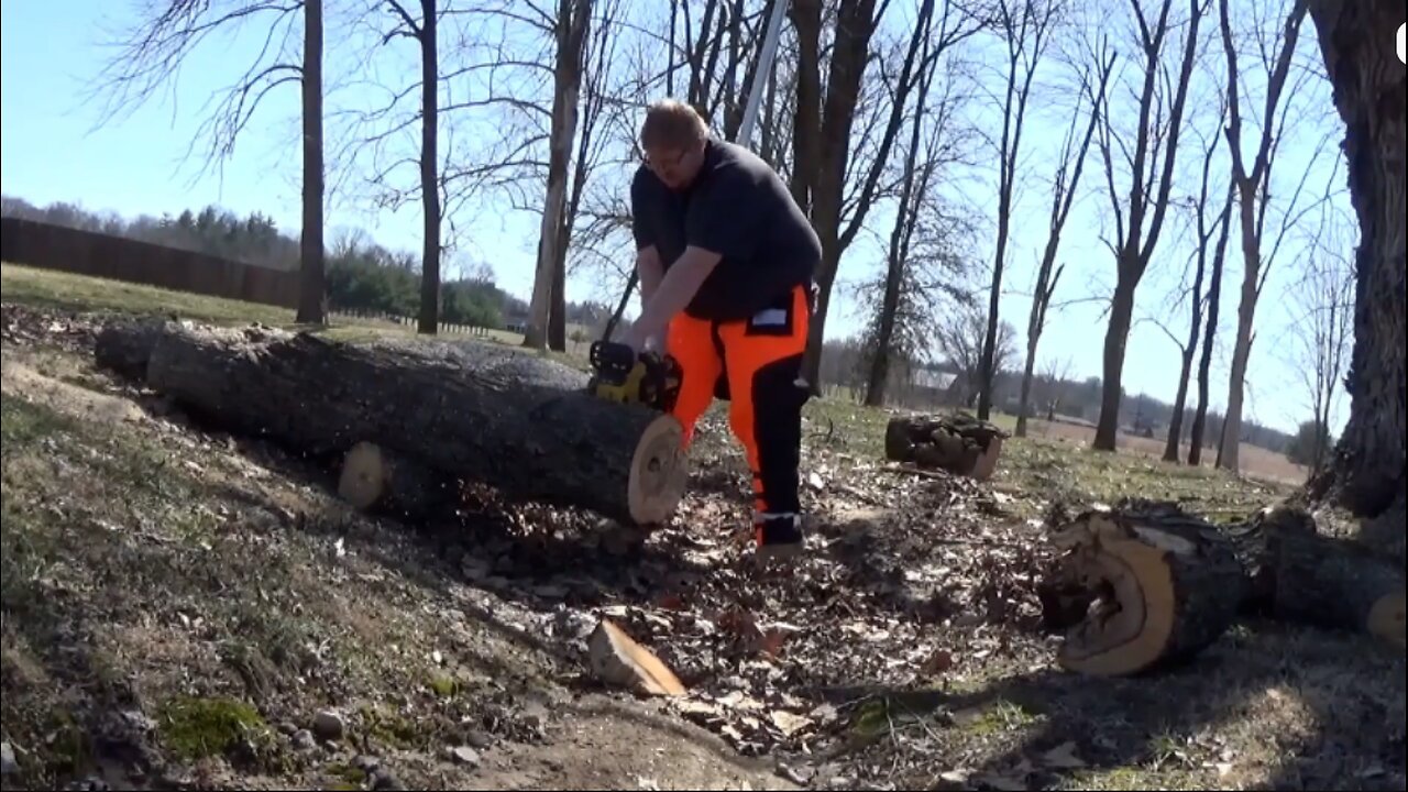 cleaning up the park next door (Part 1)