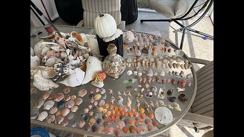 Beach Finds 11/12/2025 | 4K