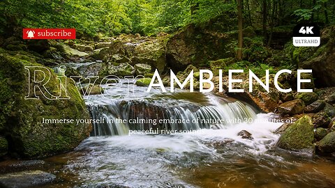 30-Minutes of Peaceful River Ambience – Relax, Sleep & Focus with Nature