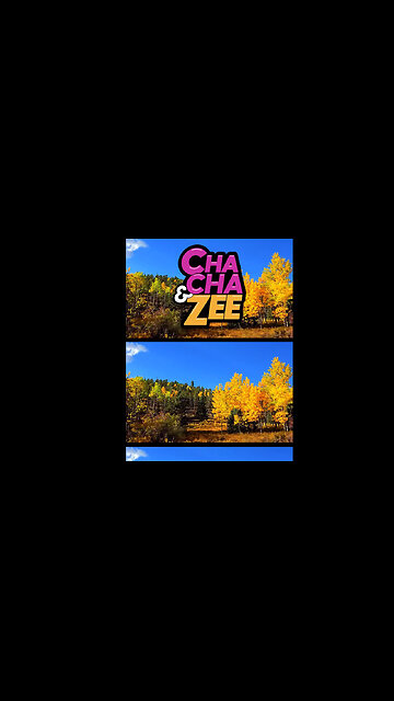 ChaCha & Zee's Tree Hunting Challenge #naturequiz #trees #kids