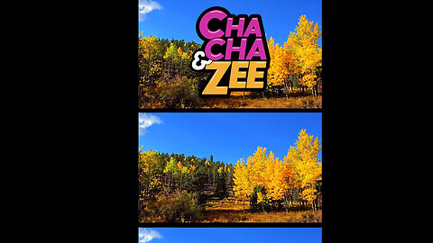 ChaCha & Zee's Tree Hunting Challenge #naturequiz #trees #kids