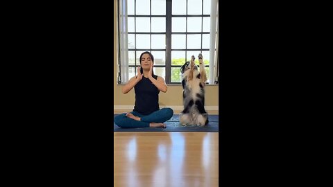 Love All Life Always #385 - Time For Yoga!