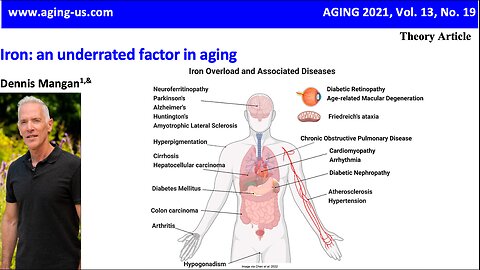 Iron's Importance During Aging: P.D. Mangan (Clip)