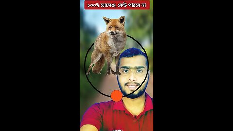 শিয়ালের মাথাটি মাথাটি জোড়া লাগান #shorts #fbreels #viral #puzzle #challenge