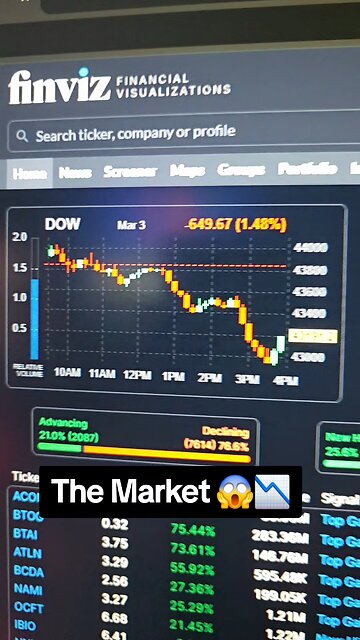 The Market 📉😱