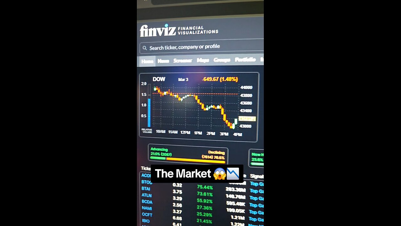 The Market 📉😱