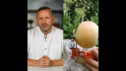 Fa$c|m 2.0: Now with a Friendly Interface