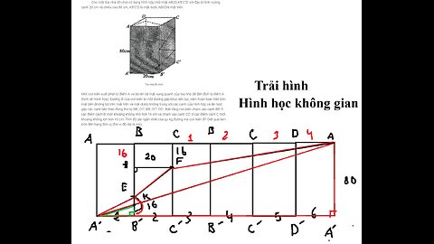 THPT Nguyễn Trãi: Toán 11: Cho một tòa nhà đồ chơi có dạng hình hộp chữ nhật ABCD.A'B'C'D' với đáy