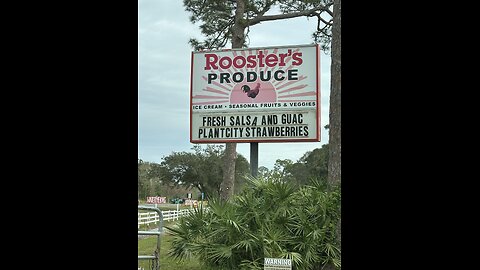 Rooster’s Produce & Alva Country Dinner Fried Chicken | 4K