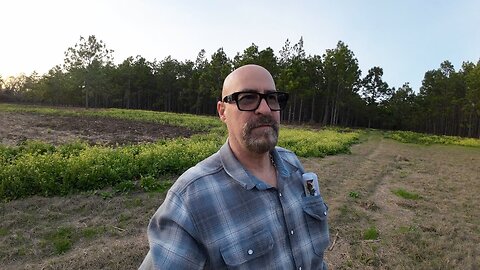 GETTING A COLLEGE DEGREE TO BECOME A WAITER - SOMETHING IS VERY WRONG - ALLIGATOR IN THE POND