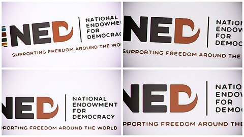 NED-We Are Funding Our Own Demise